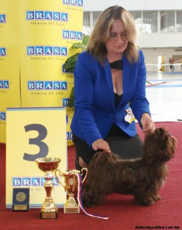 7.9.2013- CAC BRNO- JUDGE- V. VOJTEK SK